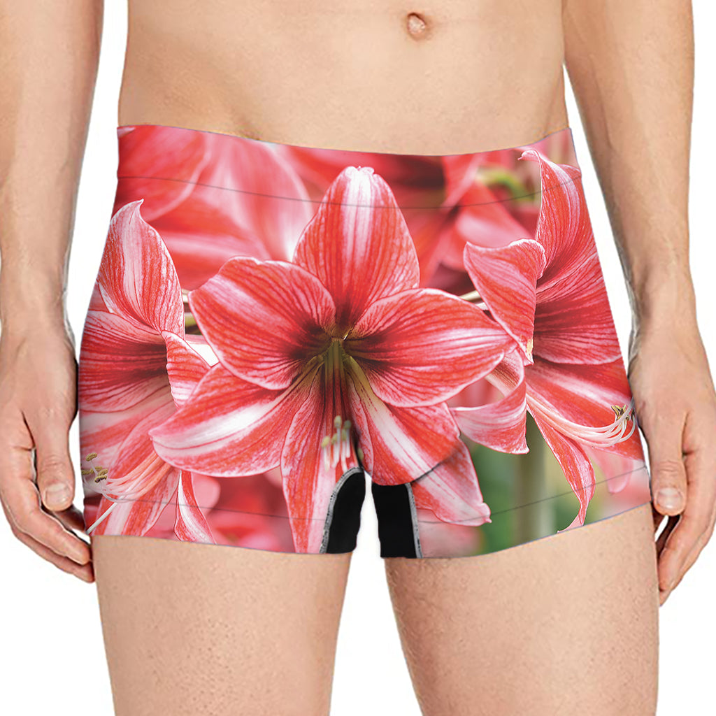 Amaryllis Flower Print Men's Boxer Briefs