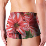 Amaryllis Flower Print Men's Boxer Briefs