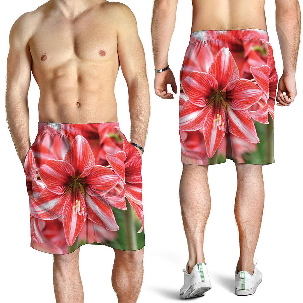 Amaryllis Flower Print Men's Shorts