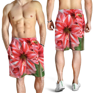 Amaryllis Flower Print Men's Shorts