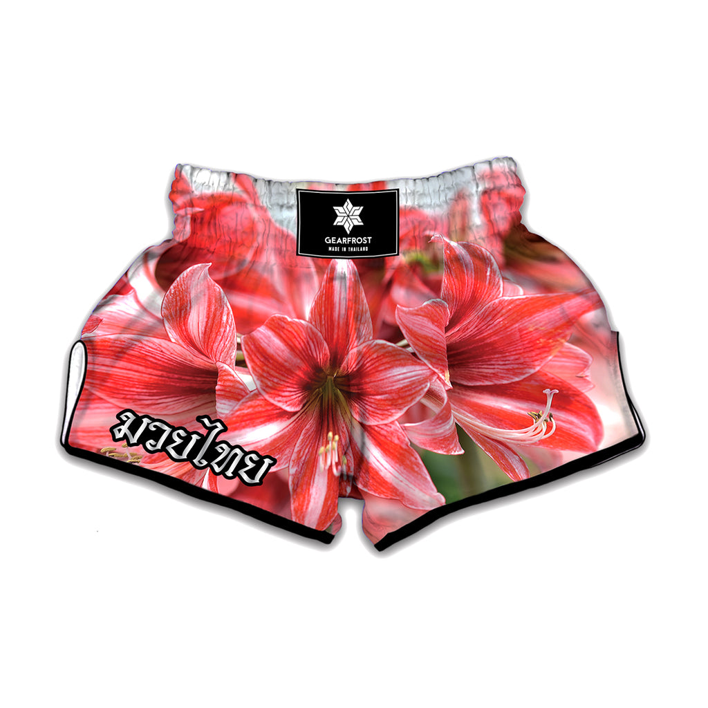 Amaryllis Flower Print Muay Thai Boxing Shorts