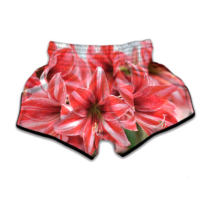 Amaryllis Flower Print Muay Thai Boxing Shorts