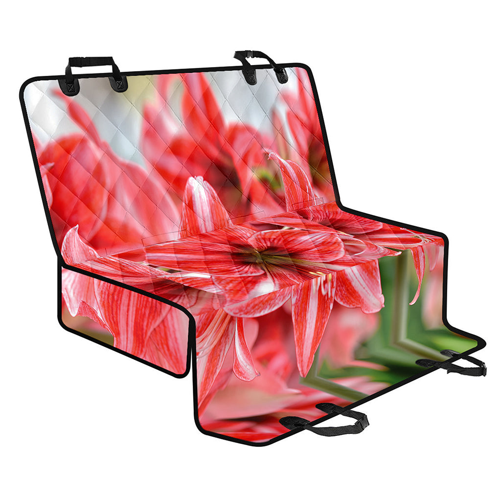 Amaryllis Flower Print Pet Car Back Seat Cover