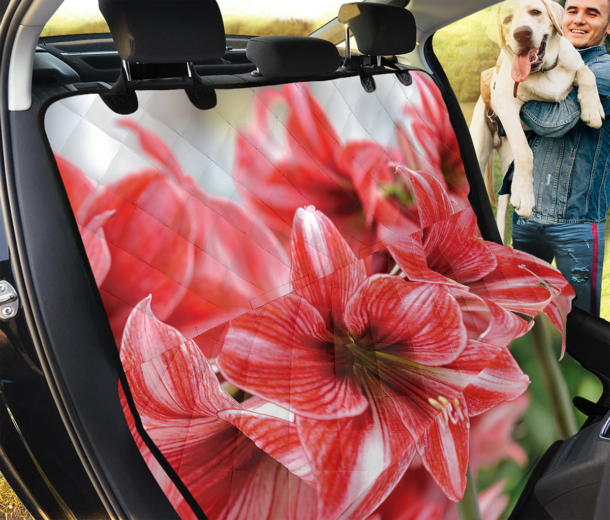 Amaryllis Flower Print Pet Car Back Seat Cover