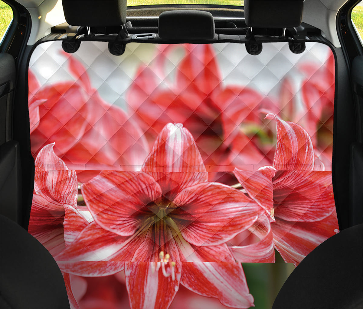 Amaryllis Flower Print Pet Car Back Seat Cover