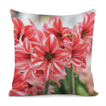 Amaryllis Flower Print Pillow Cover