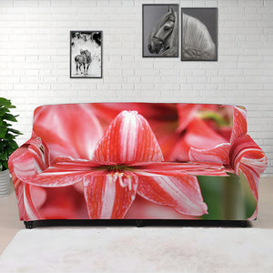 Amaryllis Flower Print Sofa Cover