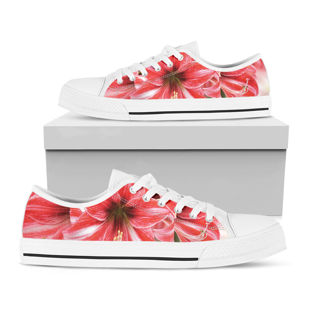 Amaryllis Flower Print White Low Top Shoes