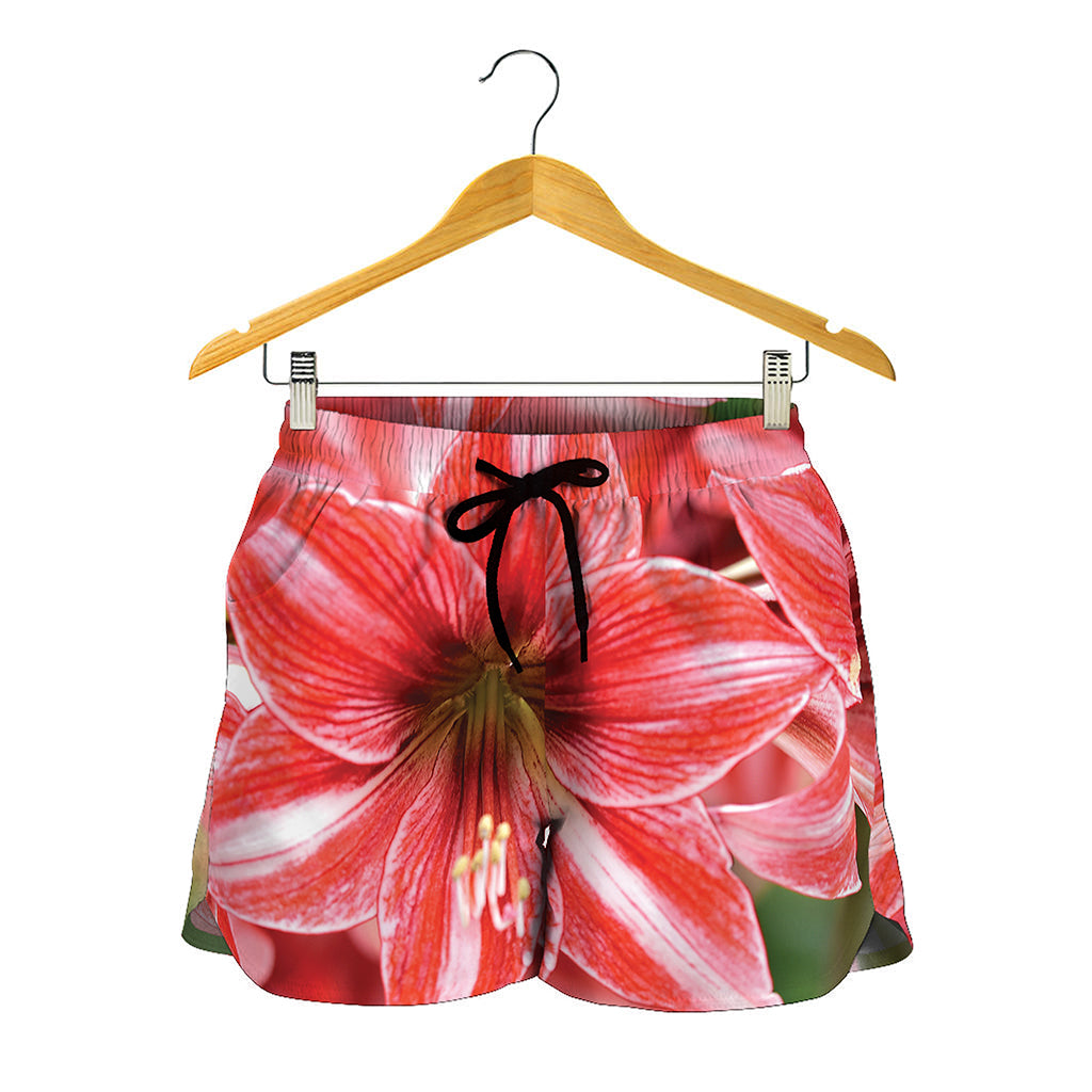 Amaryllis Flower Print Women's Shorts