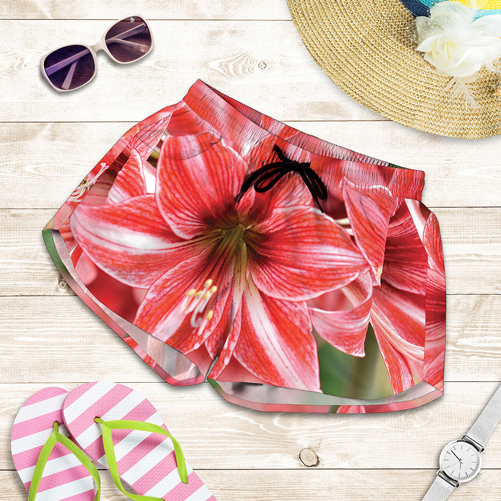 Amaryllis Flower Print Women's Shorts