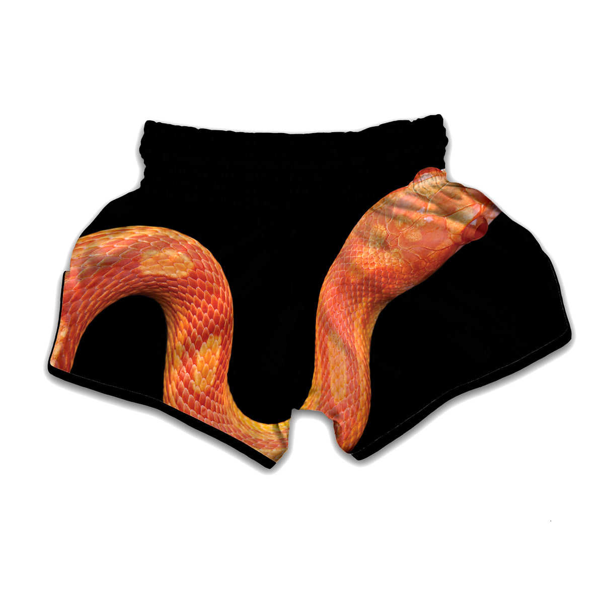 Amel Motley Corn Snake Print Muay Thai Boxing Shorts