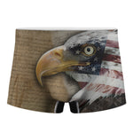 American Land Of Liberty Print Men's Boxer Briefs