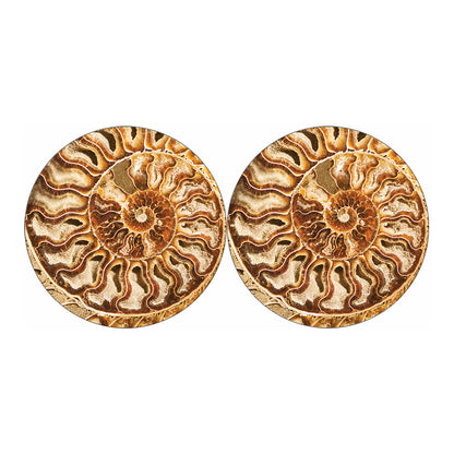 Ammonite Fossil Print Car Coasters