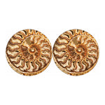 Ammonite Fossil Print Car Coasters