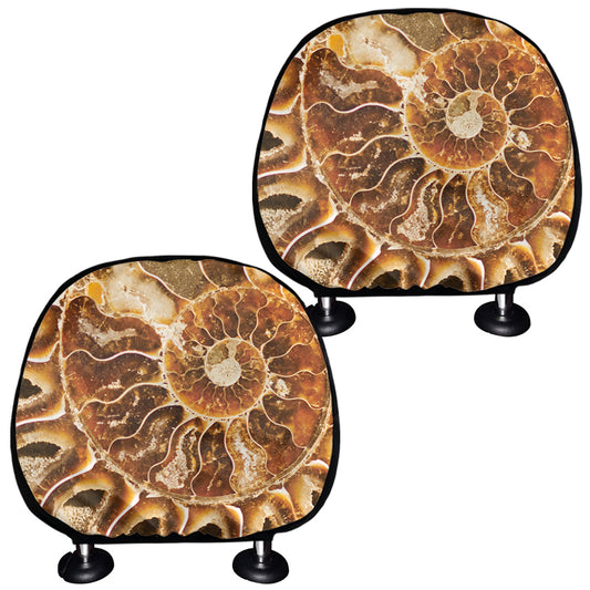 Ammonite Fossil Print Car Headrest Covers