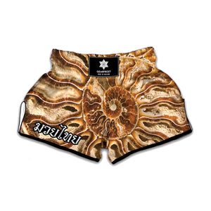 Ammonite Fossil Print Muay Thai Boxing Shorts