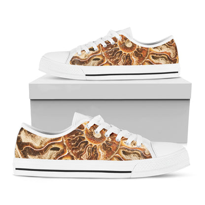 Ammonite Fossil Print White Low Top Shoes