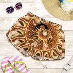 Ammonite Fossil Print Women's Shorts