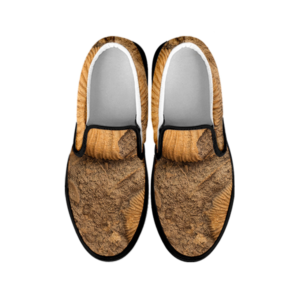 Ammonite Shell Fossil Print Black Slip On Shoes