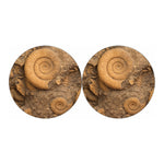 Ammonite Shell Fossil Print Car Coasters