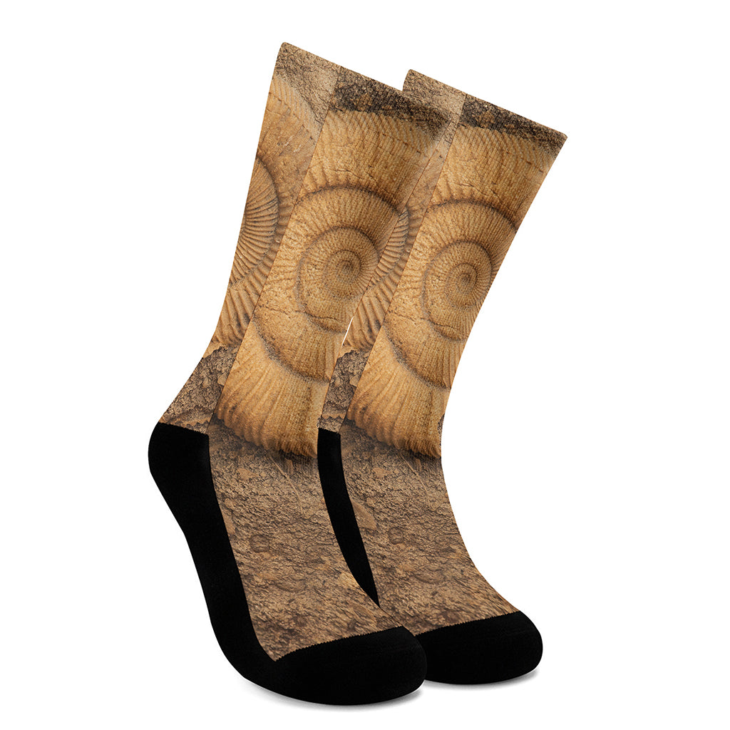 Ammonite Shell Fossil Print Crew Socks