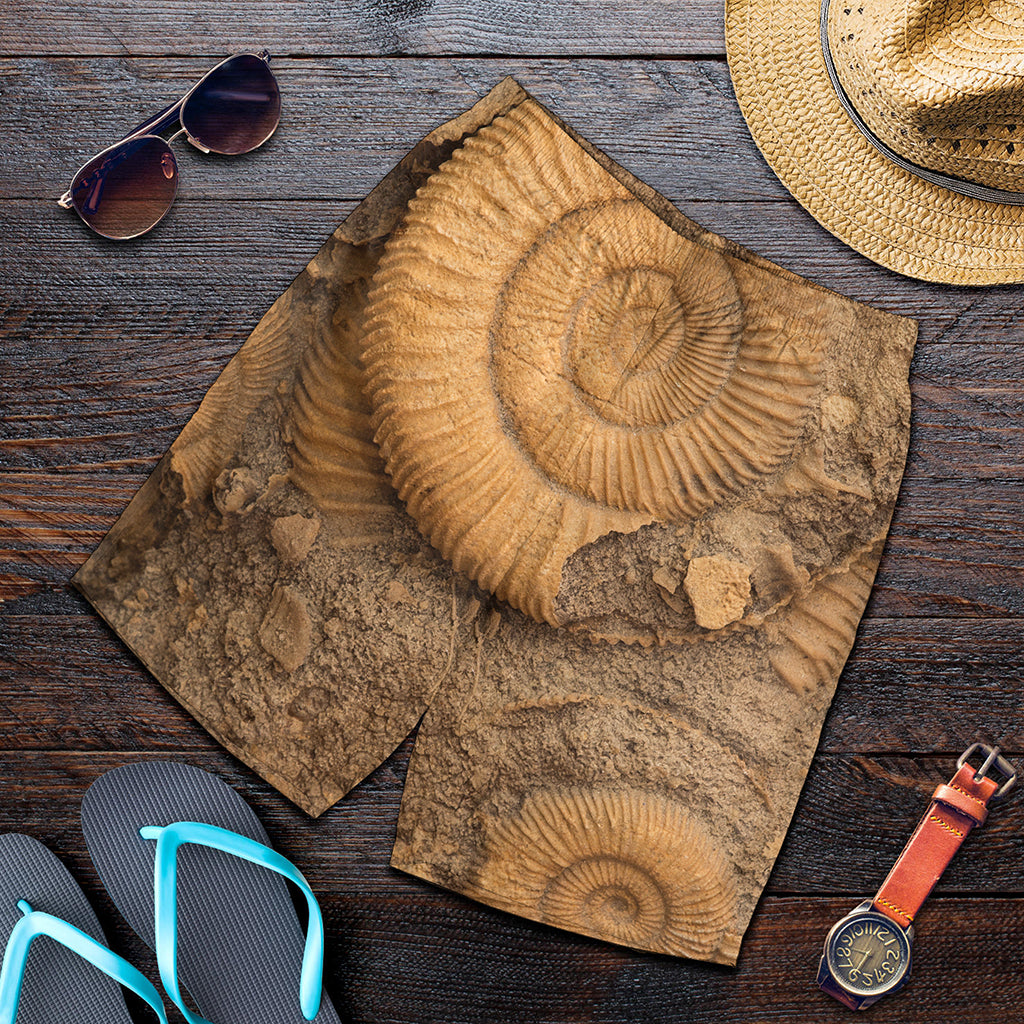 Ammonite Shell Fossil Print Men's Shorts