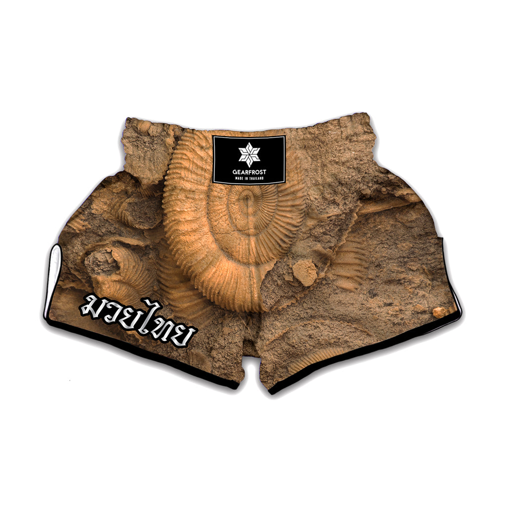 Ammonite Shell Fossil Print Muay Thai Boxing Shorts