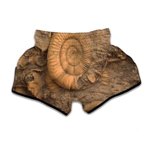 Ammonite Shell Fossil Print Muay Thai Boxing Shorts