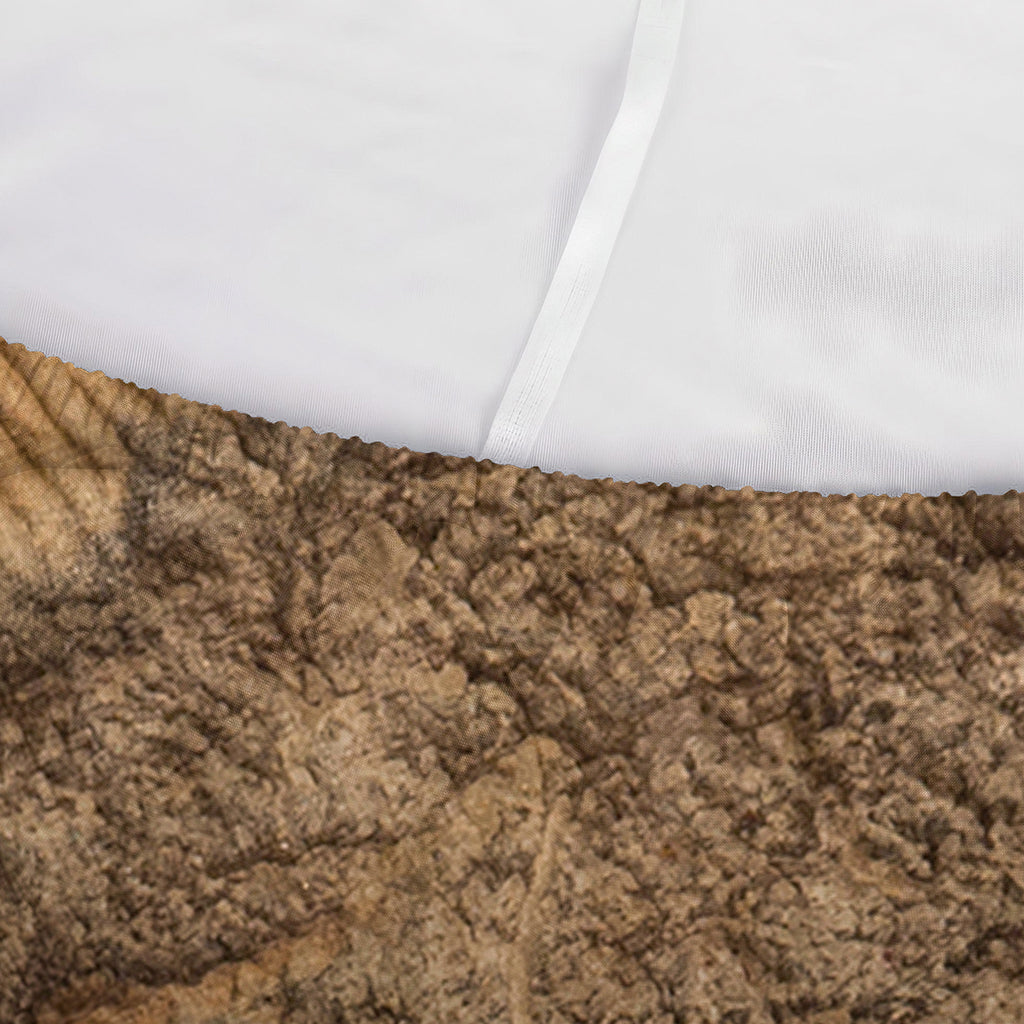 Ammonite Shell Fossil Print Sofa Cover