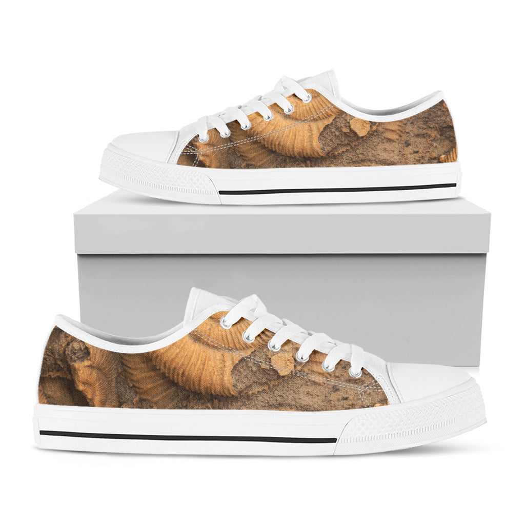 Ammonite Shell Fossil Print White Low Top Shoes