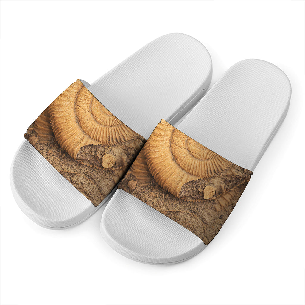 Ammonite Shell Fossil Print White Slide Sandals