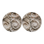 Ammonoidea Fossil Print Car Coasters