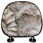 Ammonoidea Fossil Print Car Headrest Covers