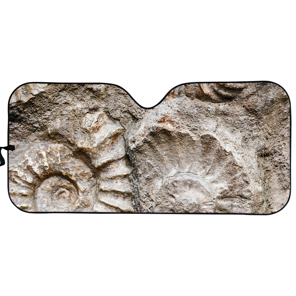 Ammonoidea Fossil Print Car Sun Shade