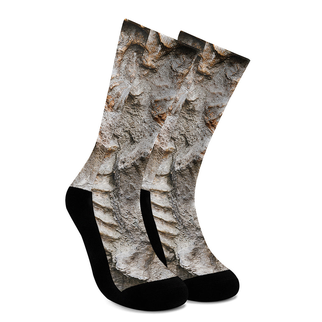 Ammonoidea Fossil Print Crew Socks