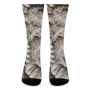 Ammonoidea Fossil Print Crew Socks