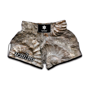 Ammonoidea Fossil Print Muay Thai Boxing Shorts