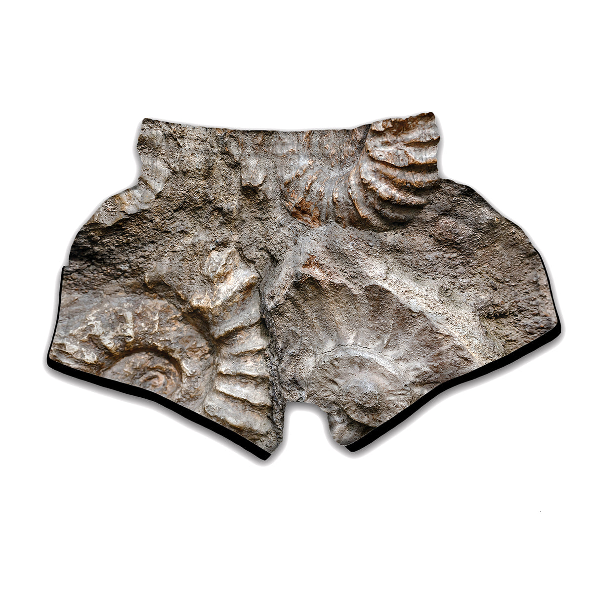 Ammonoidea Fossil Print Muay Thai Boxing Shorts