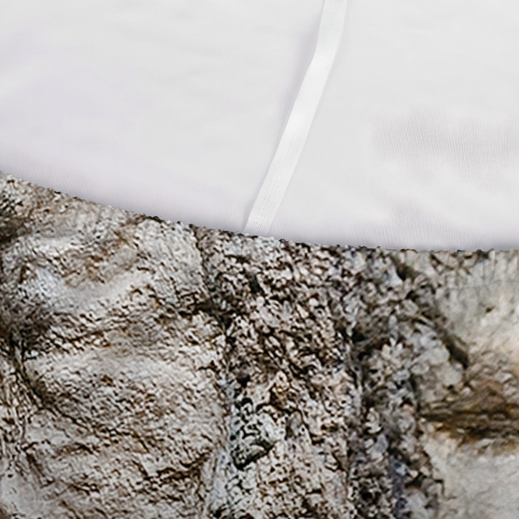 Ammonoidea Fossil Print Sofa Cover