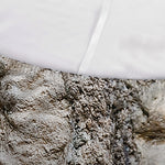 Ammonoidea Fossil Print Sofa Cover