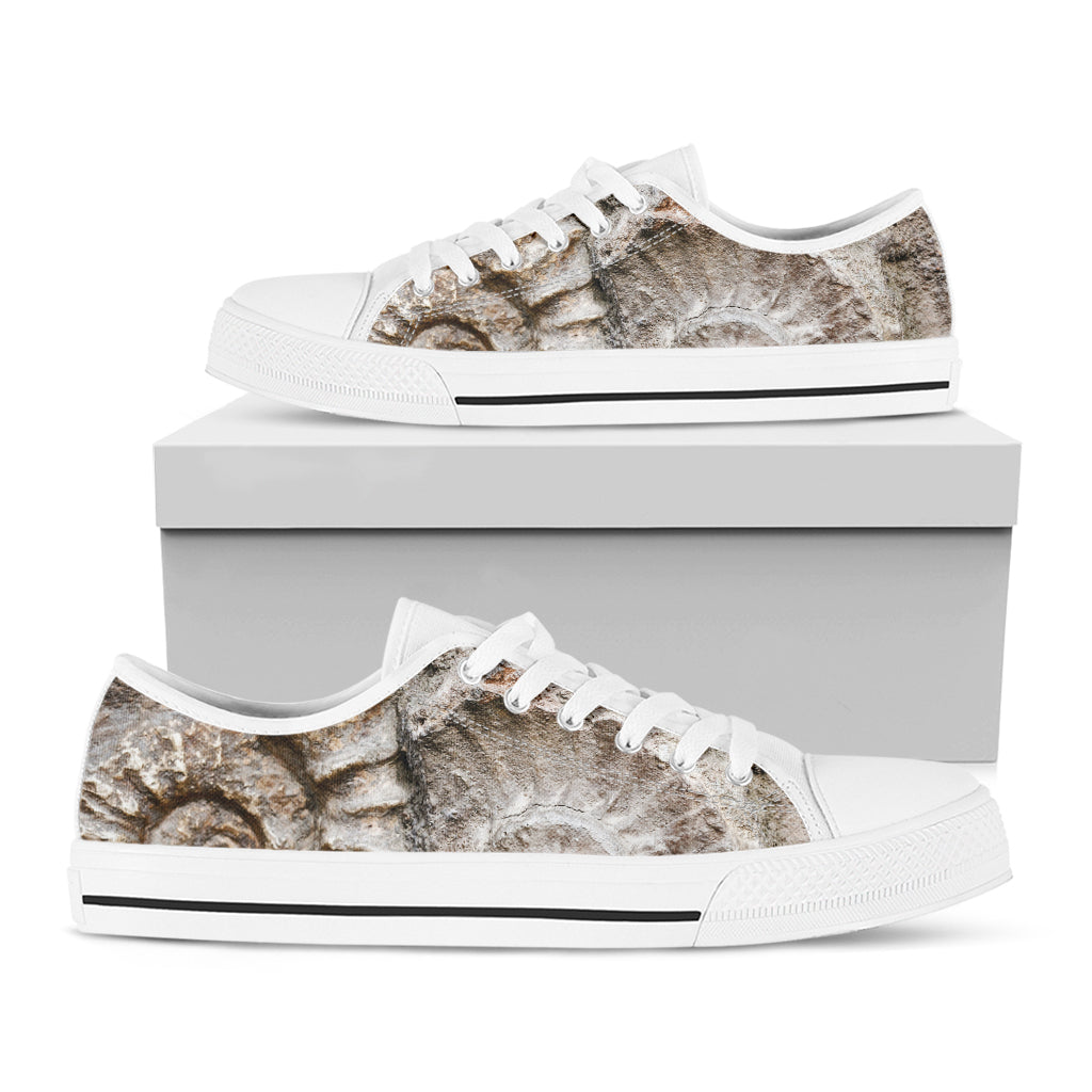 Ammonoidea Fossil Print White Low Top Shoes