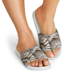 Ammonoidea Fossil Print White Slide Sandals