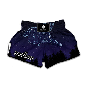 Aries Constellation Print Muay Thai Boxing Shorts