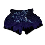 Aries Constellation Print Muay Thai Boxing Shorts