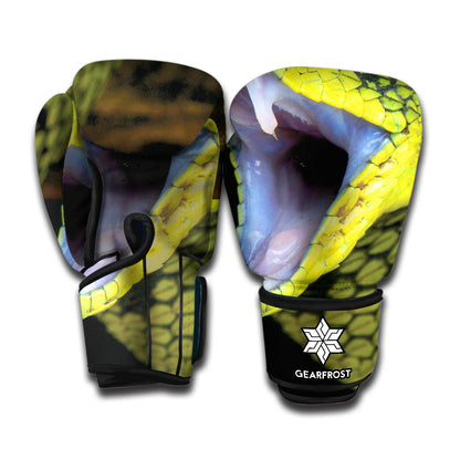 Atheris Nitschei Snake Print Boxing Gloves