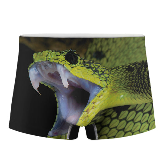 Atheris Nitschei Snake Print Men's Boxer Briefs