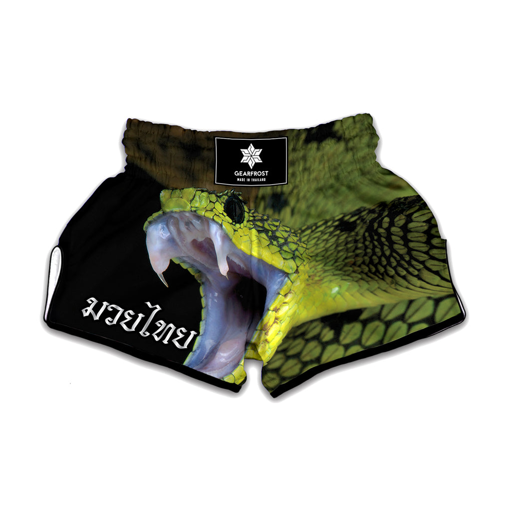 Atheris Nitschei Snake Print Muay Thai Boxing Shorts