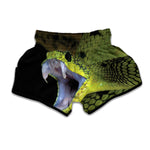 Atheris Nitschei Snake Print Muay Thai Boxing Shorts