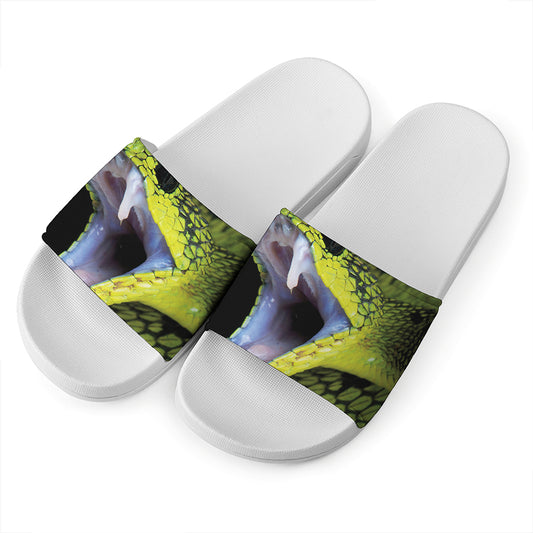 Atheris Nitschei Snake Print White Slide Sandals