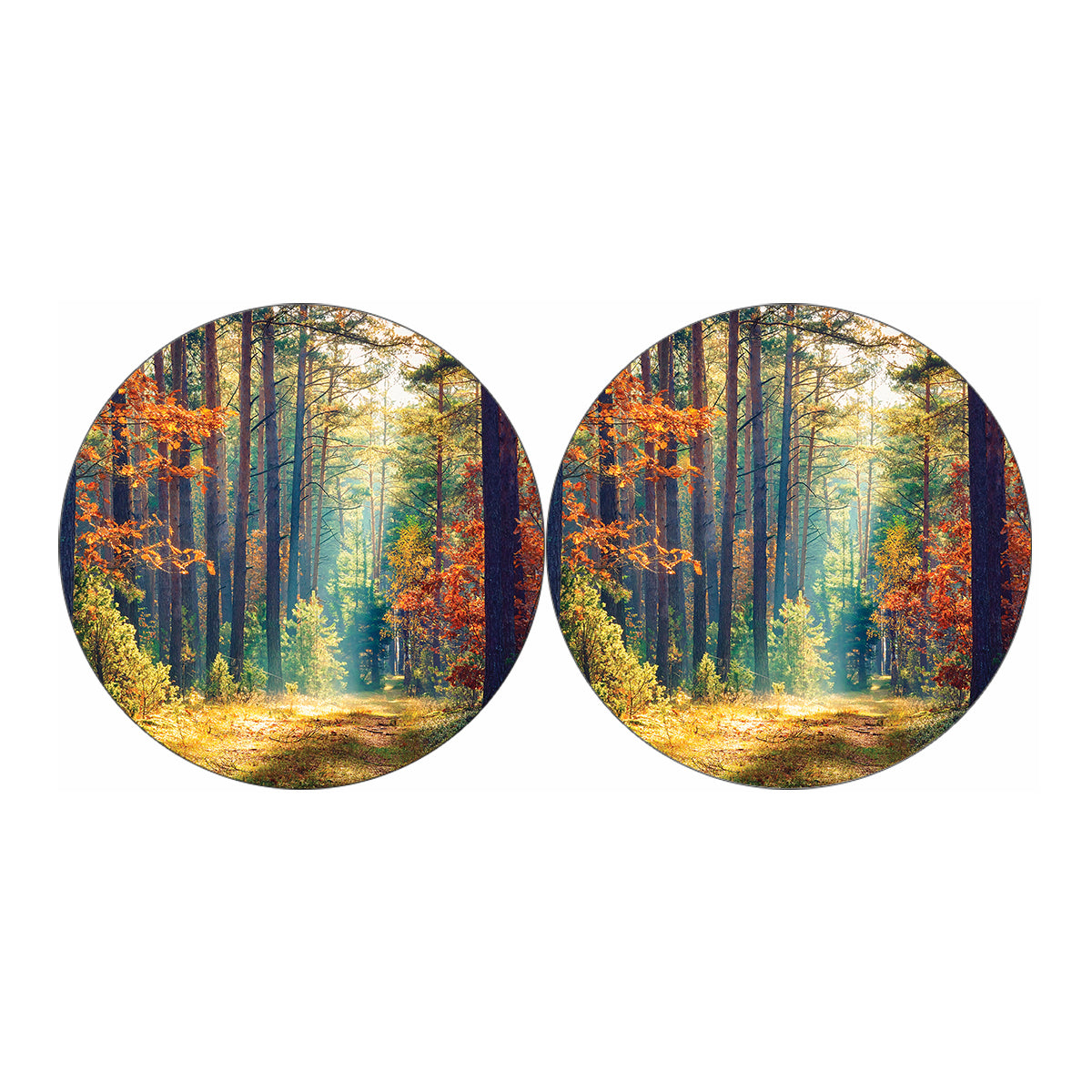 Autumn Forest Print Car Coasters